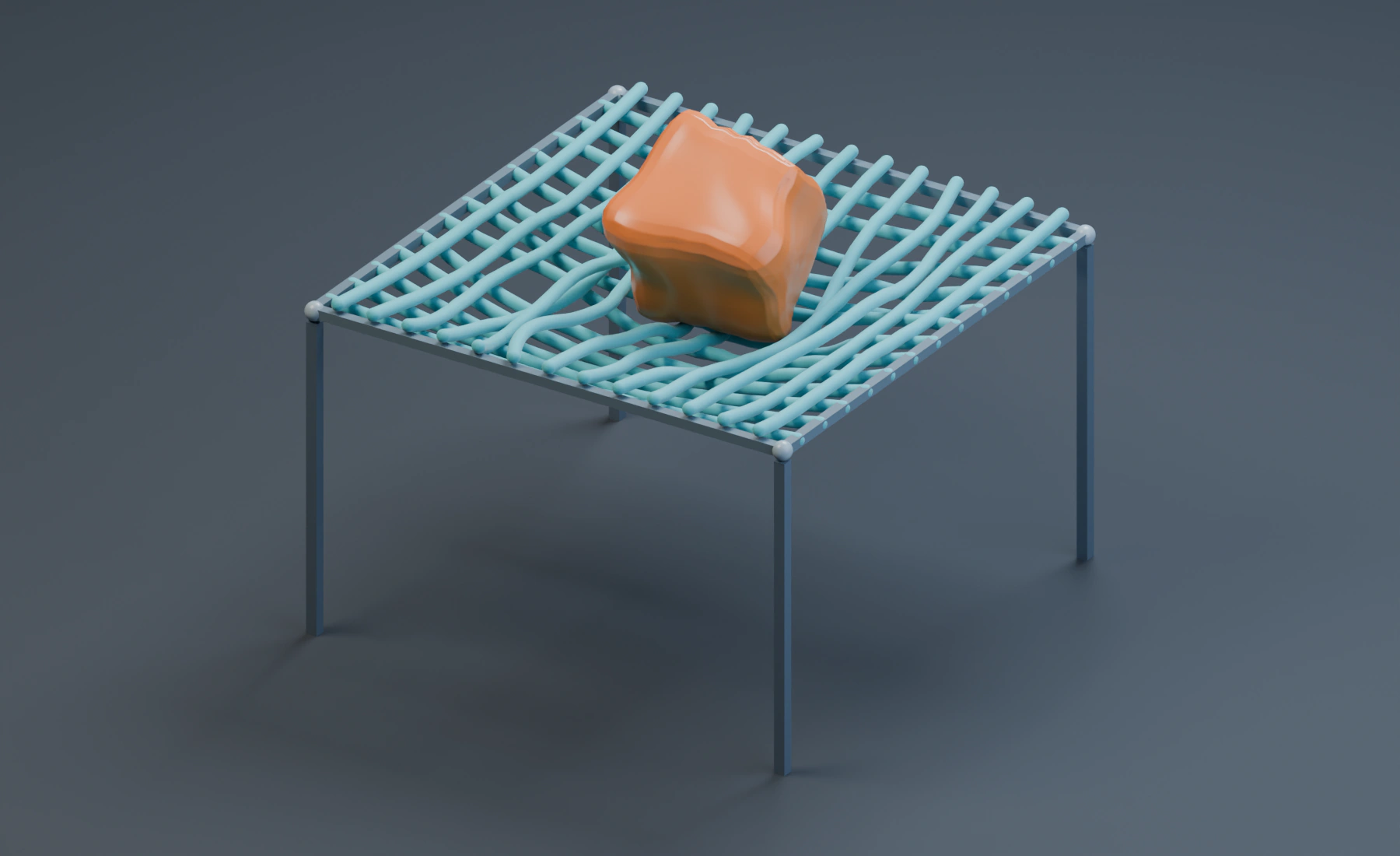 A soft body deforming on a suspended rope net