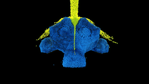 Multi-material MPM simulation showcase